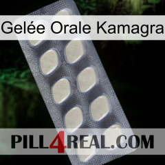 Gelée Orale Kamagra 08